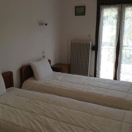 Hotel France Kalampáka Luaran gambar